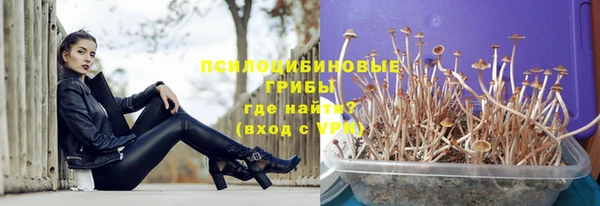 дурь Наволоки