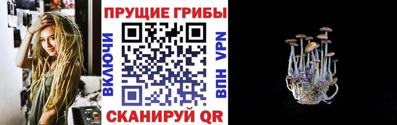 где купить наркотик  Сольцы  Псилоцибиновые грибы Magic Shrooms 